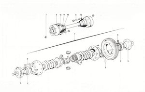 Differential and axle shaft