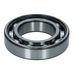 Rear Axle Diff Bearing 250