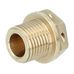 Crankcase Side Water Jacket Plug