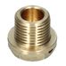 Crankcase Rear Plug [275]