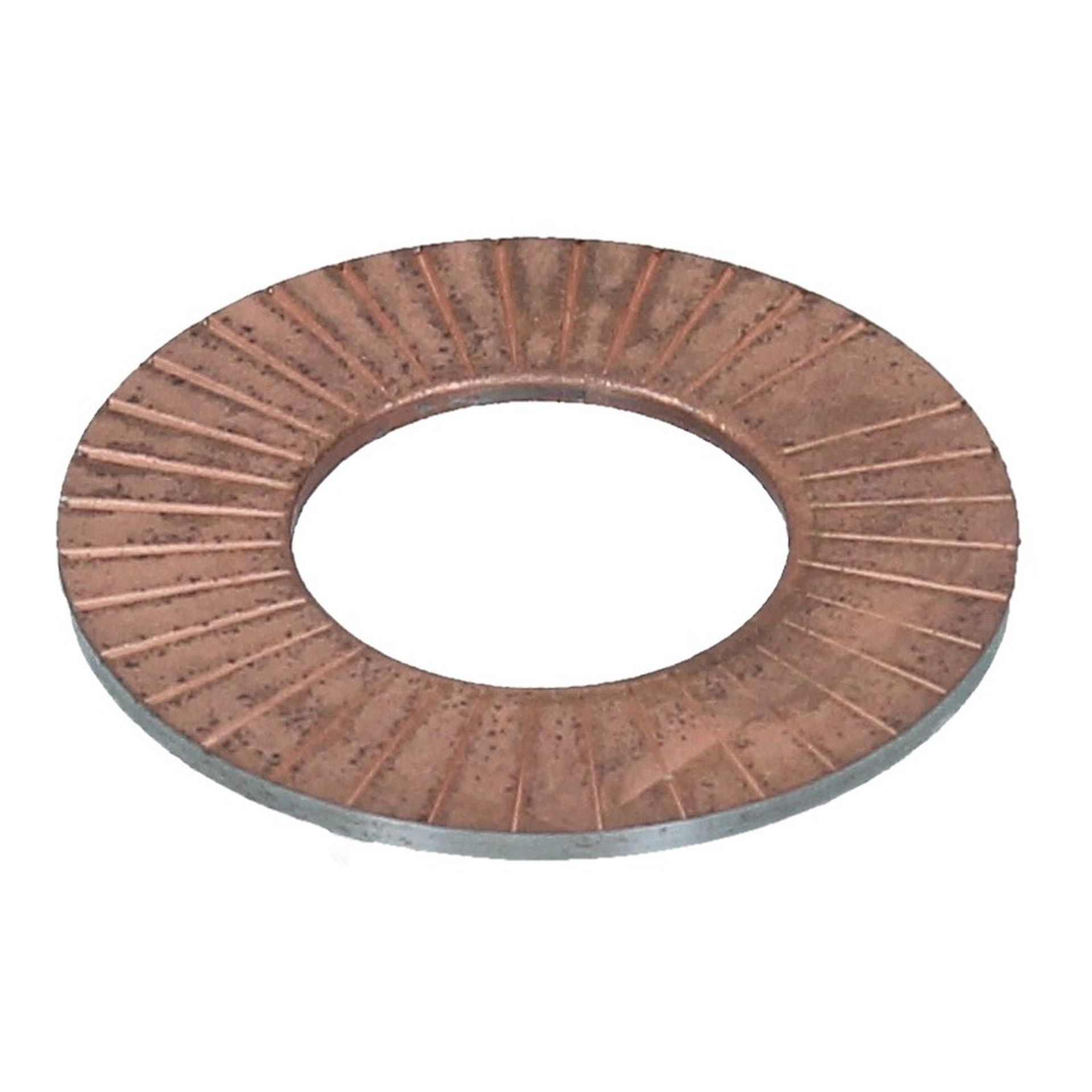 Valve Spring Shims (40.5x20.7x1.6mm)