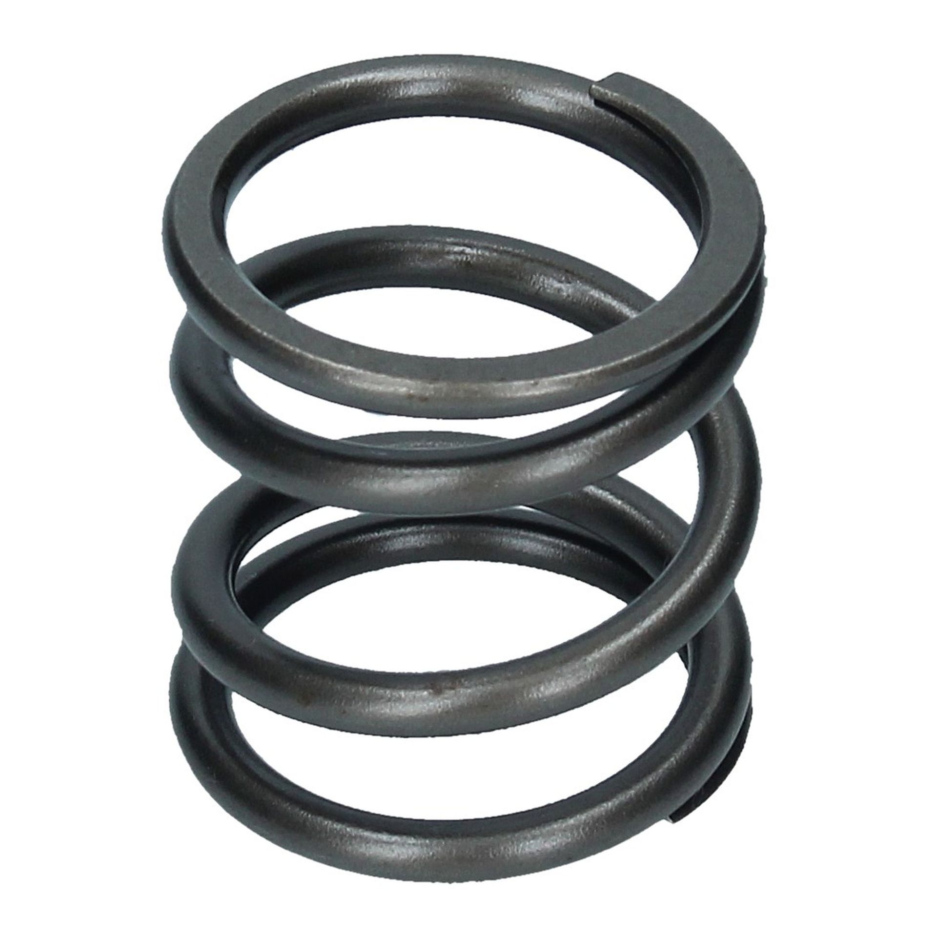 Valve Spring Outer 250