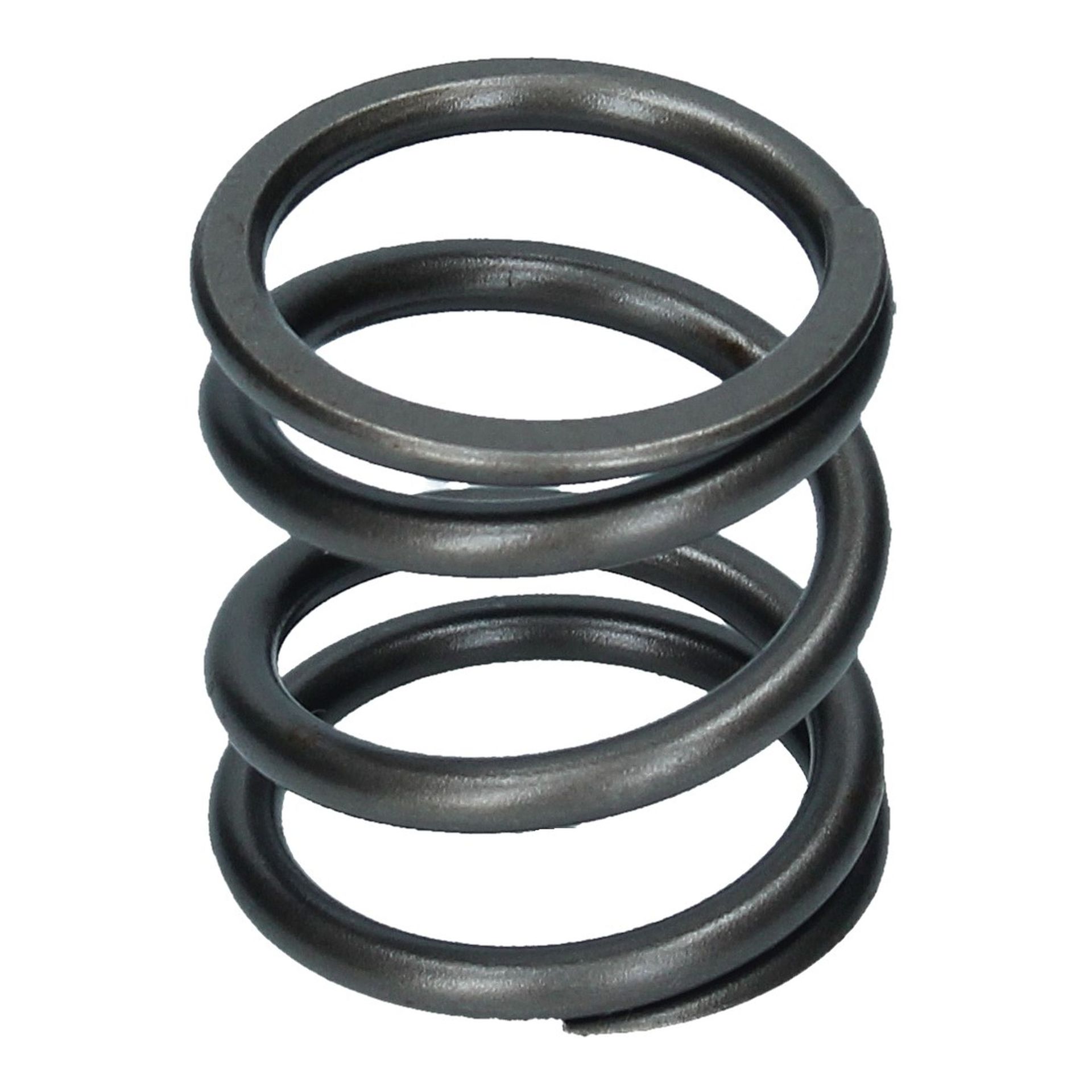 Valve Spring Outer 250