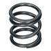 Valve Spring Outer 250