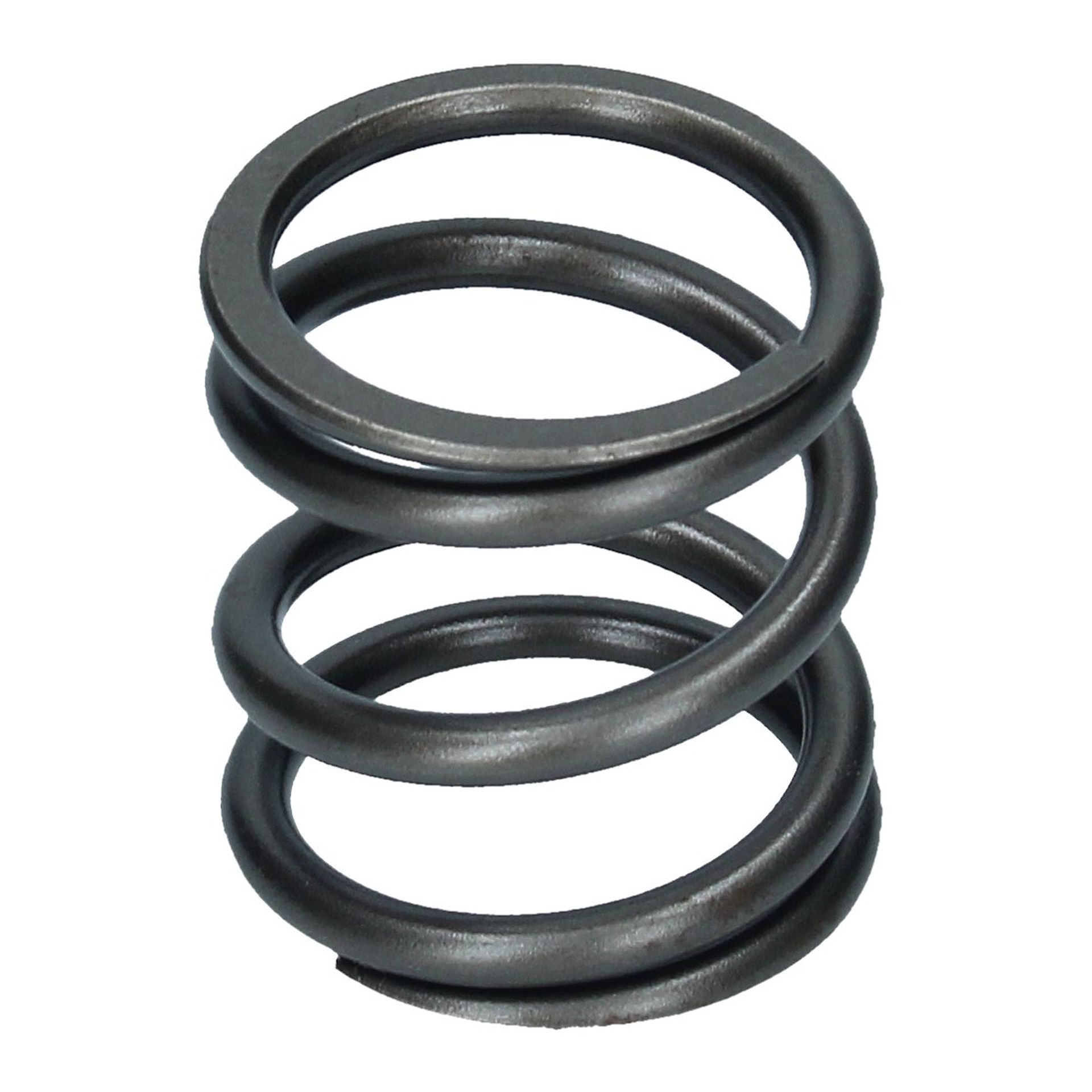 Valve Spring Outer 250