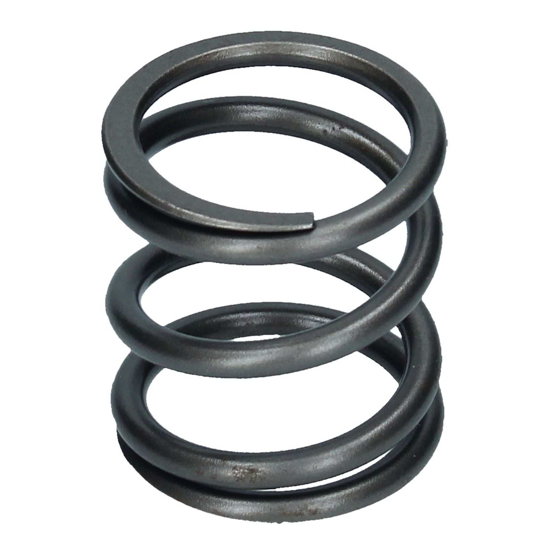 Valve Spring Outer 250