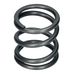 Valve Spring Outer 250