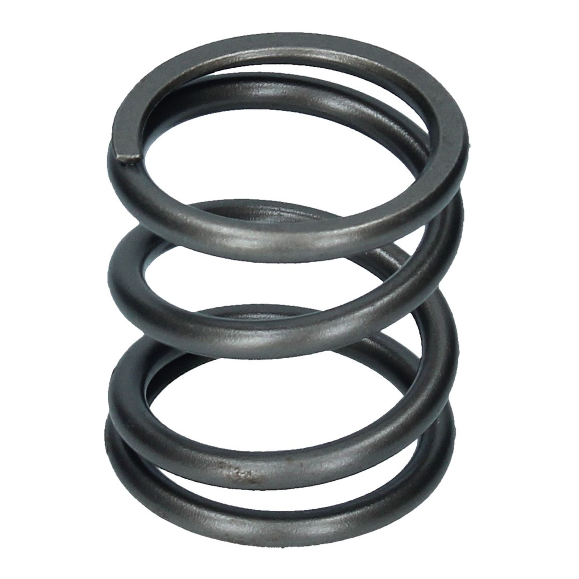 Valve Spring Outer 250