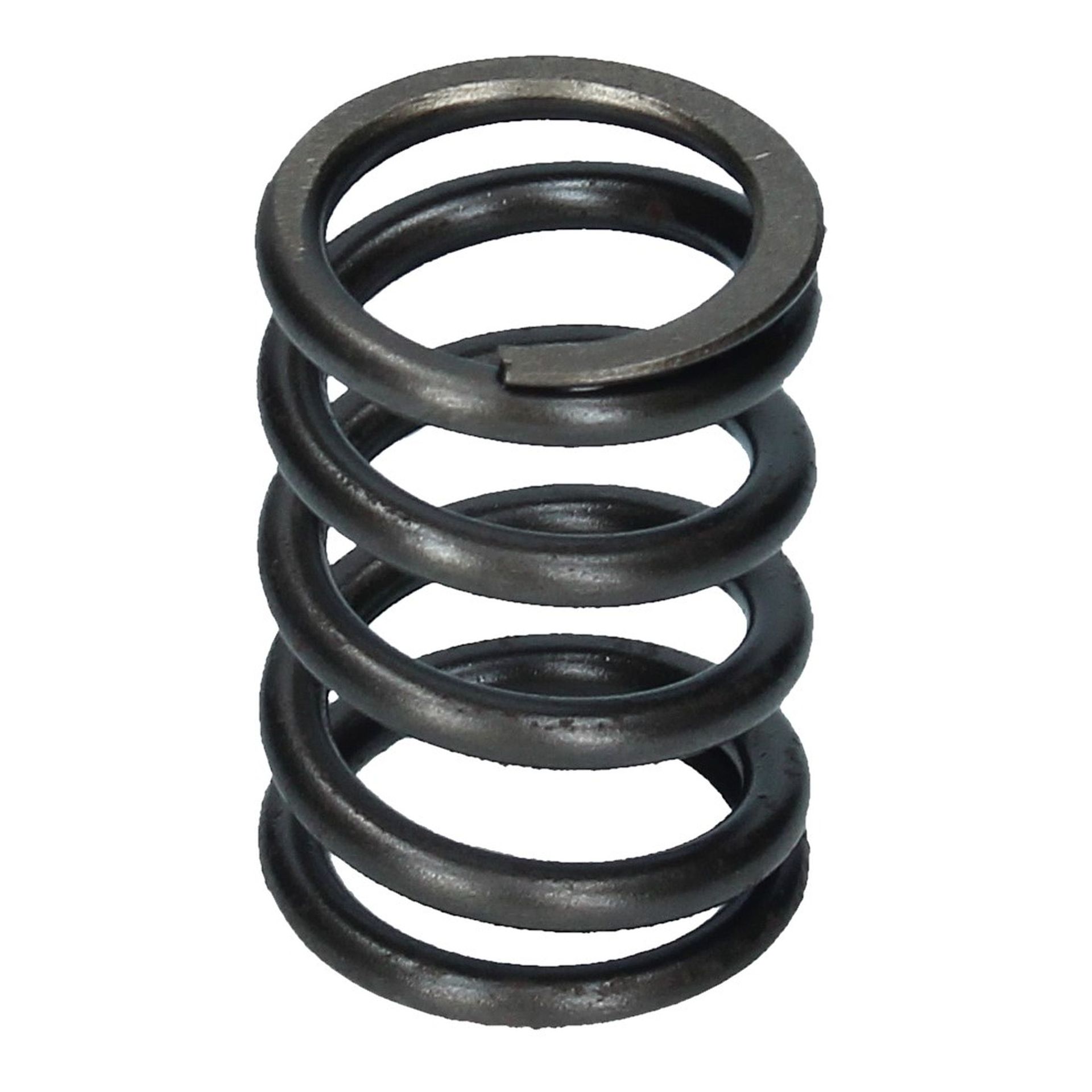 Valve Spring Inner 250