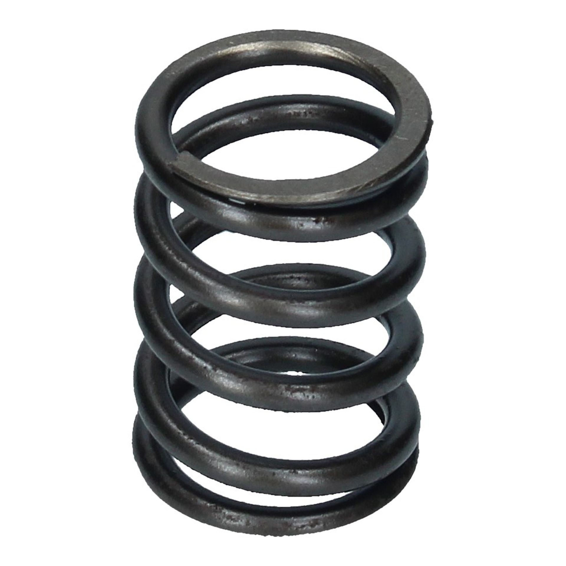 Valve Spring Inner 250