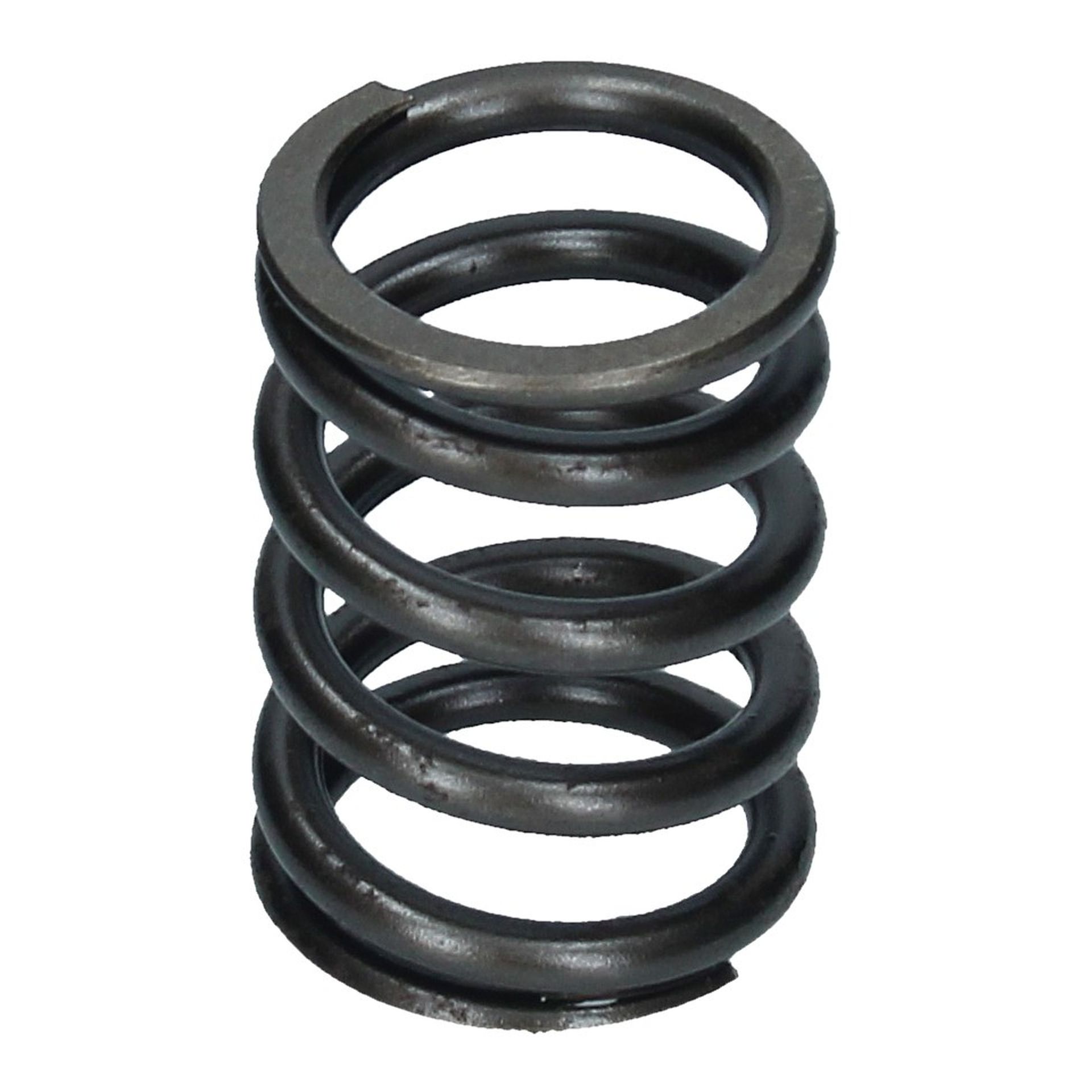 Valve Spring Inner 250