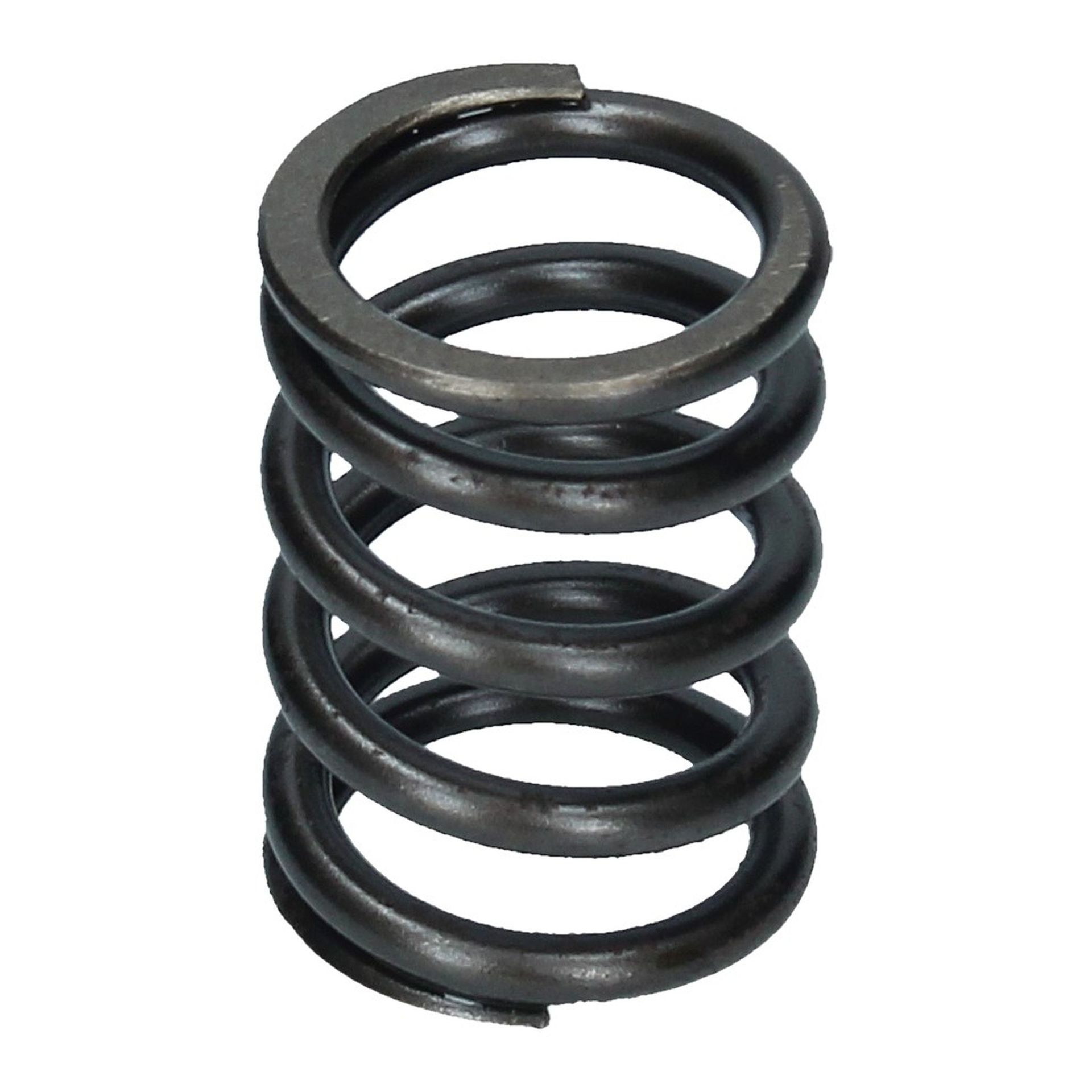 Valve Spring Inner 250