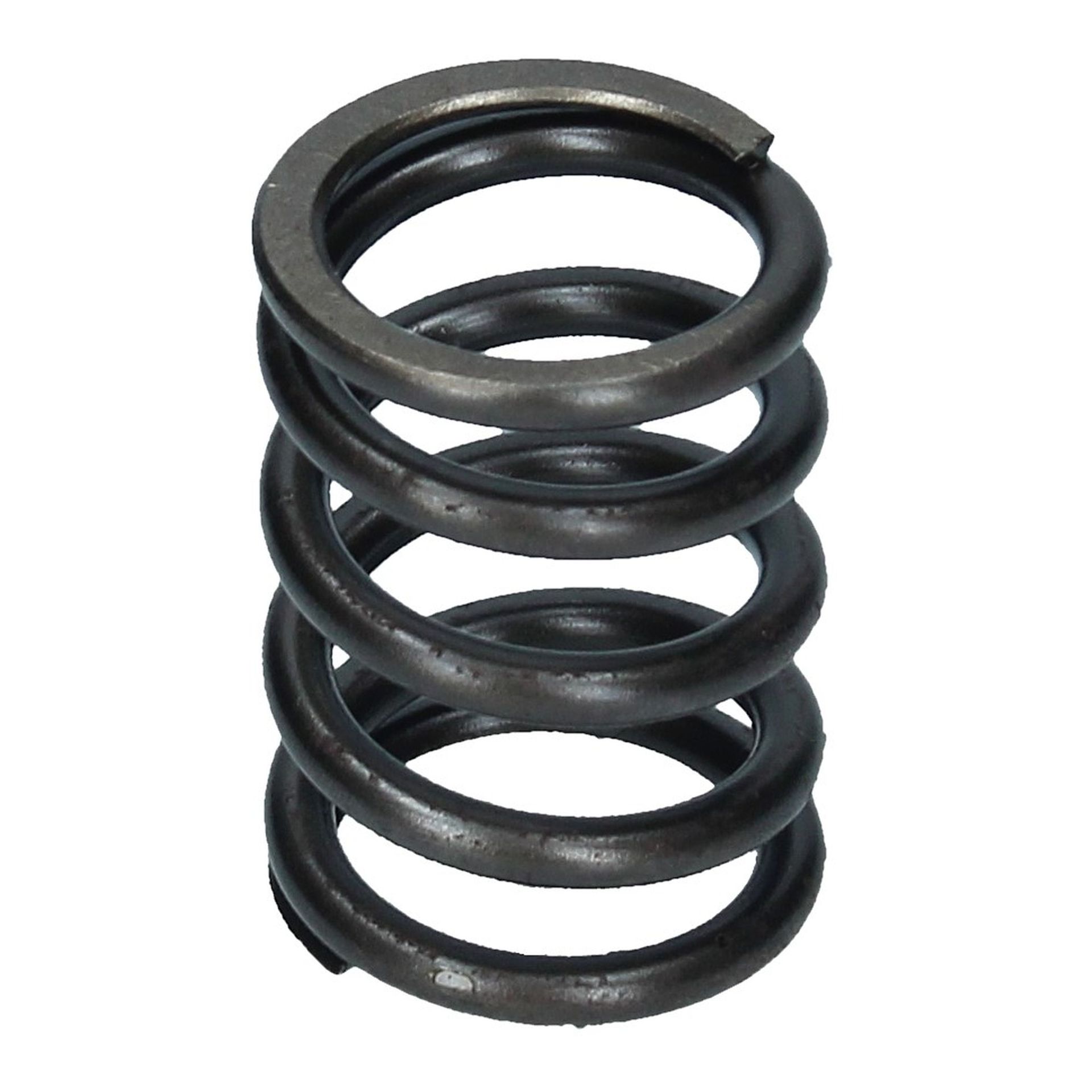 Valve Spring Inner 250