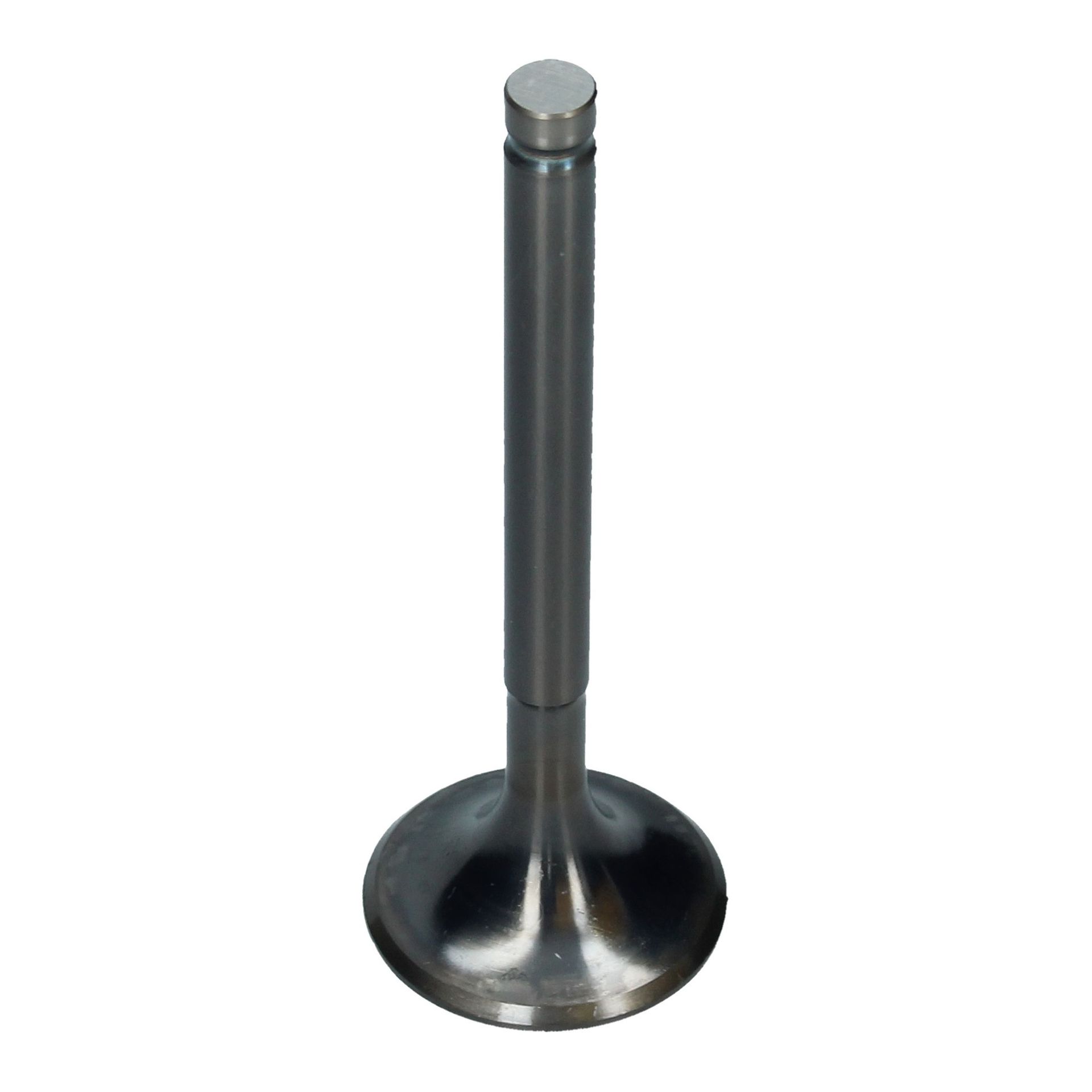 Inlet Valve (34x97.0mm)
