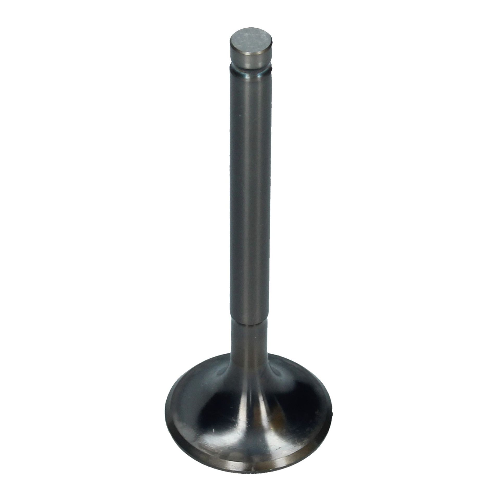 Inlet Valve (34x97.0mm)