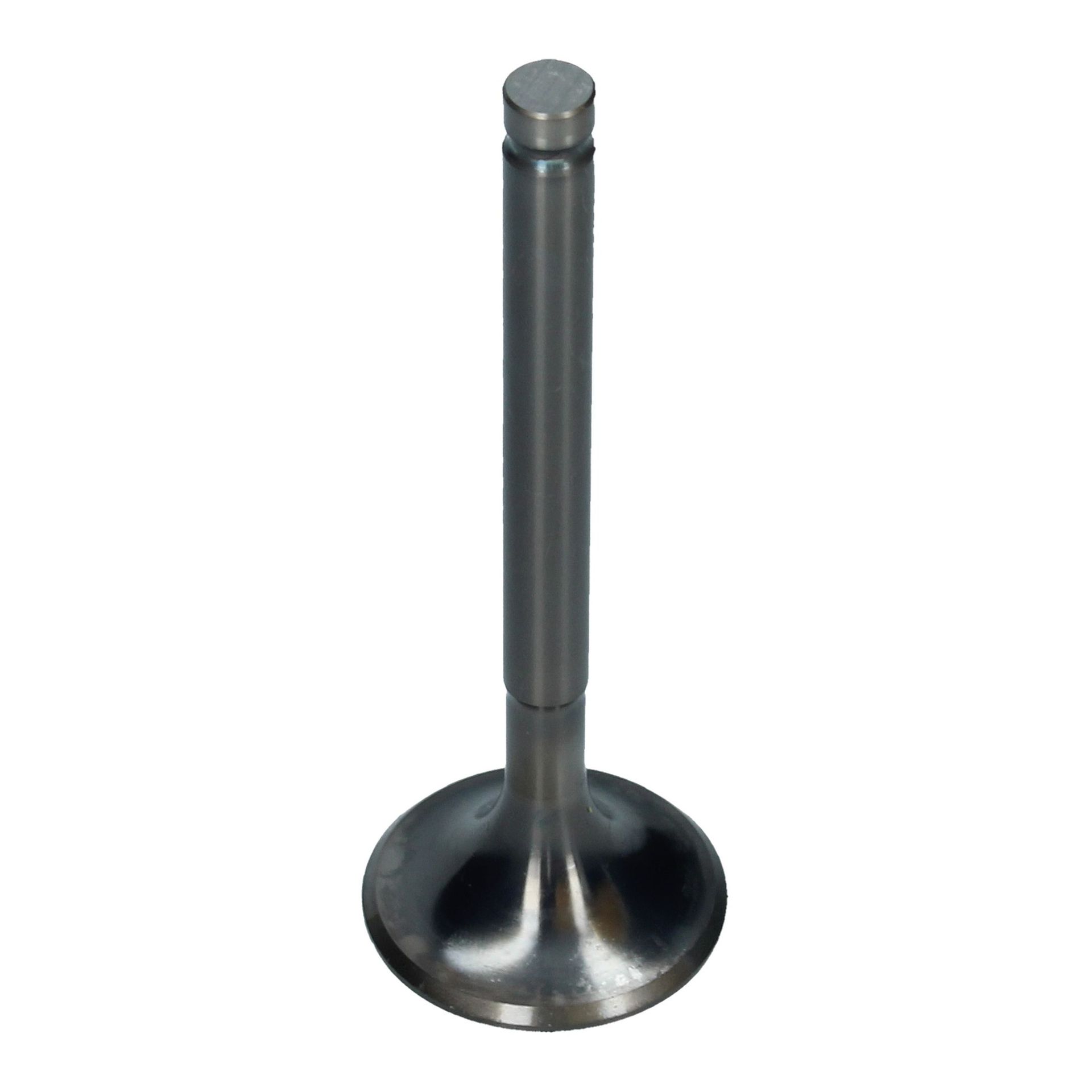 Inlet Valve (34x97.0mm)