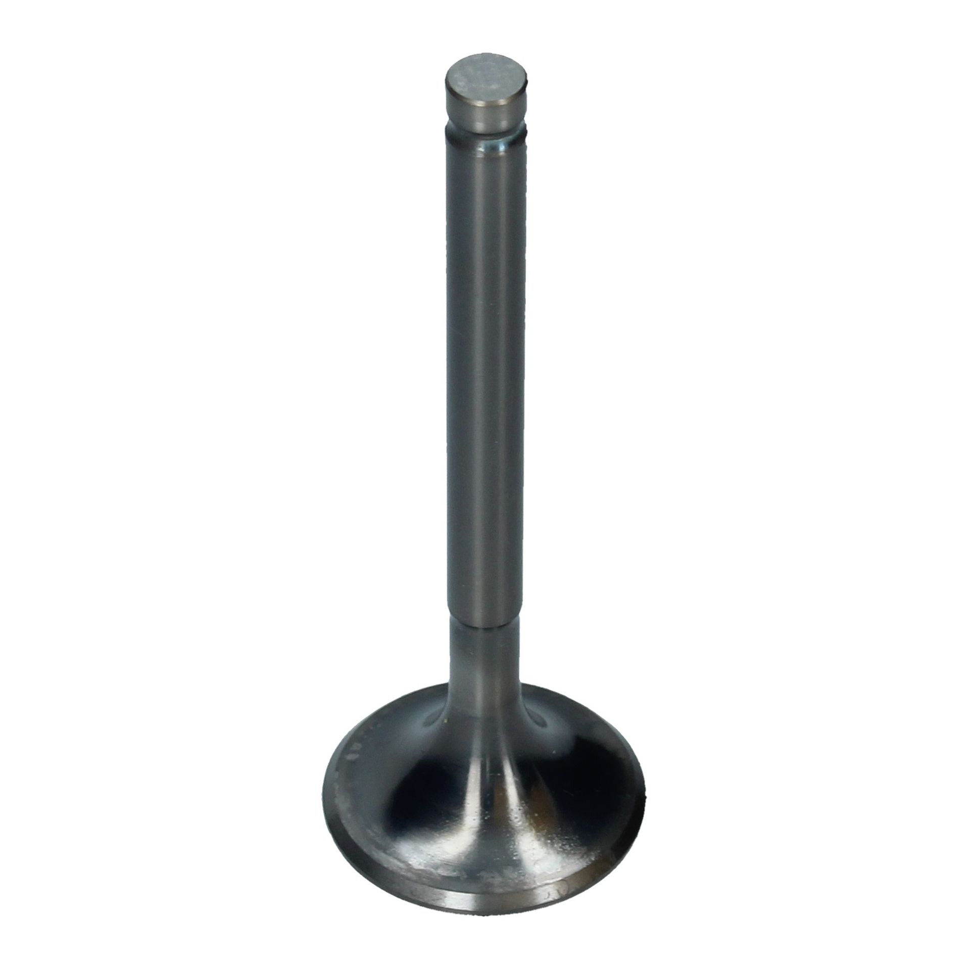 Inlet Valve (34x97.0mm)