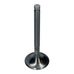 Inlet Valve (34x97.0mm)