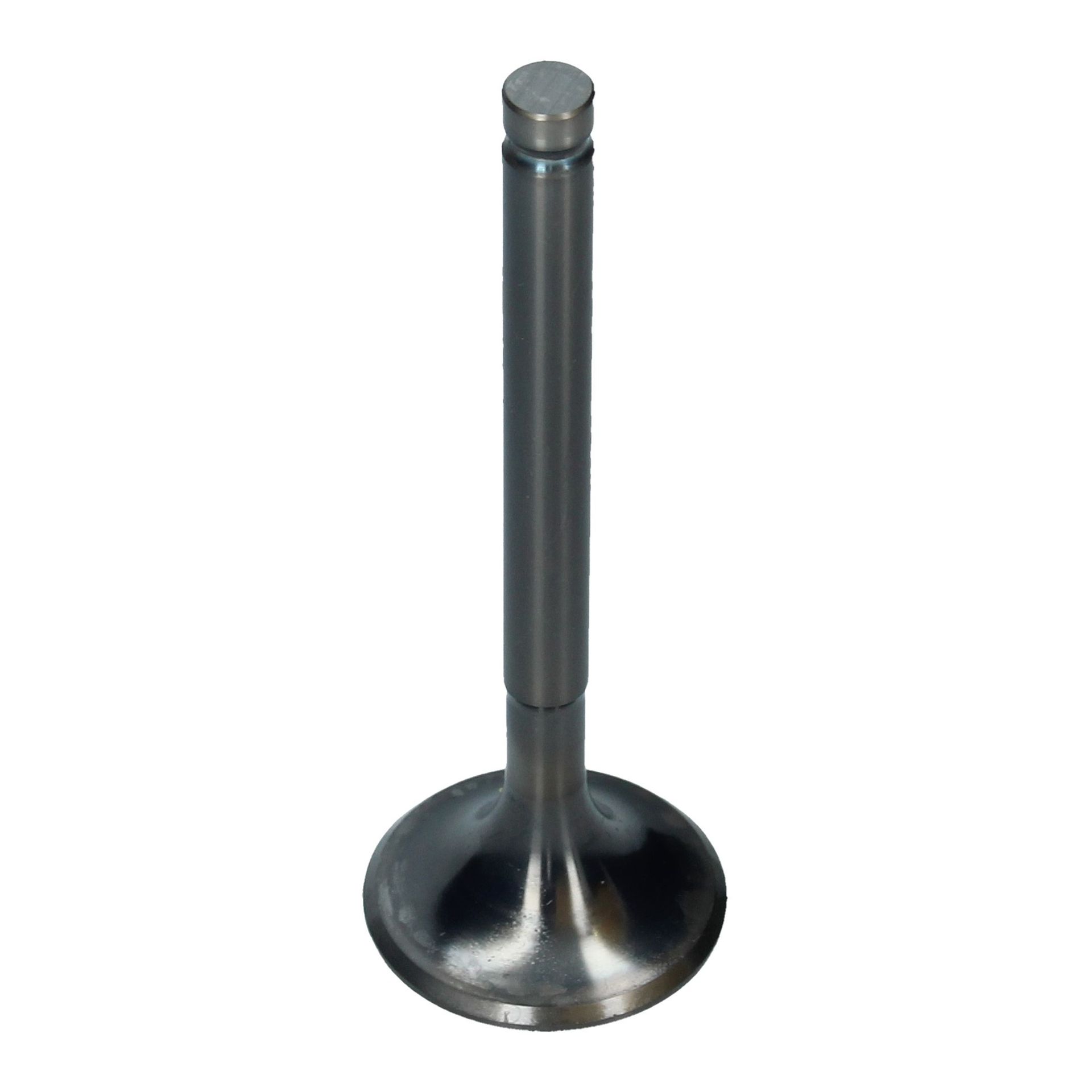 Inlet Valve (34x97.0mm)