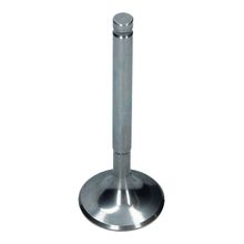 Inlet Valve (36.0x97.3mm)