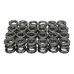 Valve Spring Set 250/275