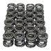 Valve Spring Set 250/275