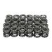 Valve Spring Set 250/275