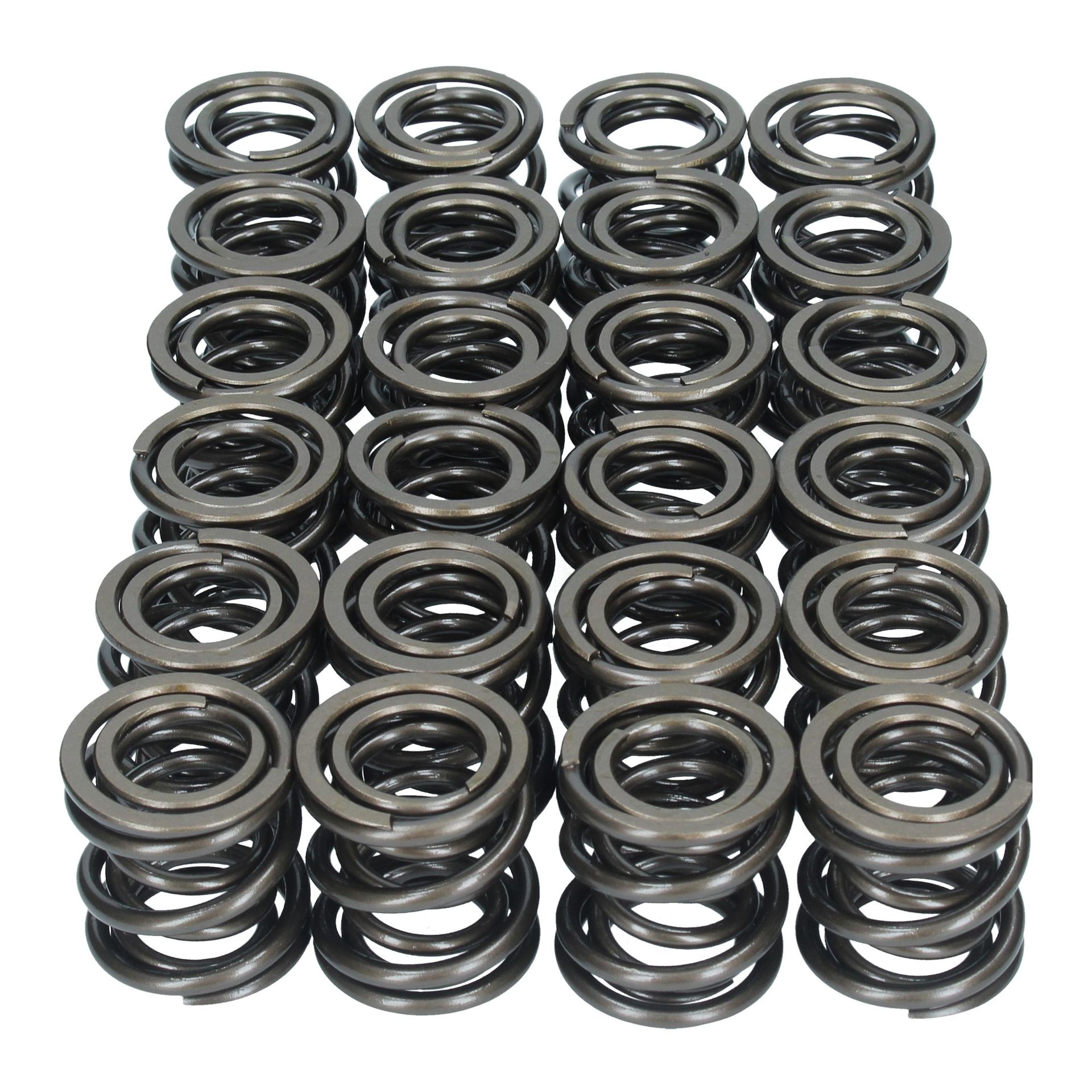 Valve Spring Set 250/275
