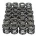Valve Spring Set 250/275