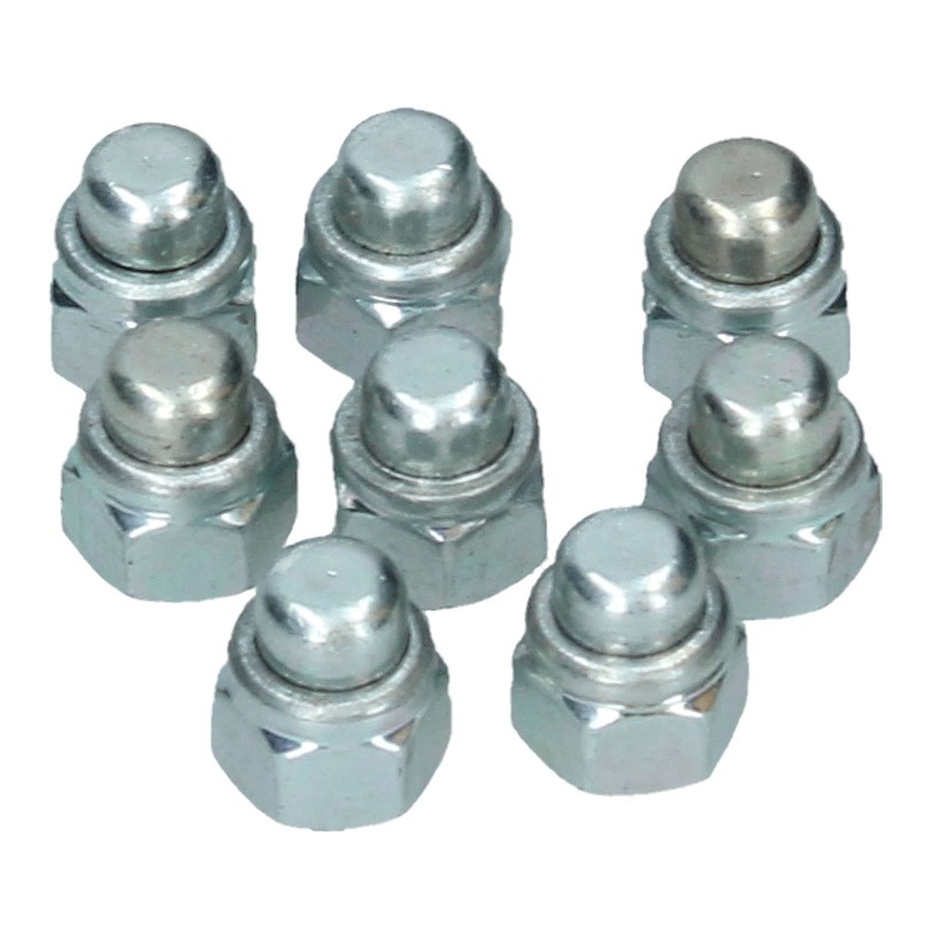 Cam Cover Domed Nut 6x12 Tall