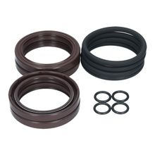 Cam Seal Kit 456/550