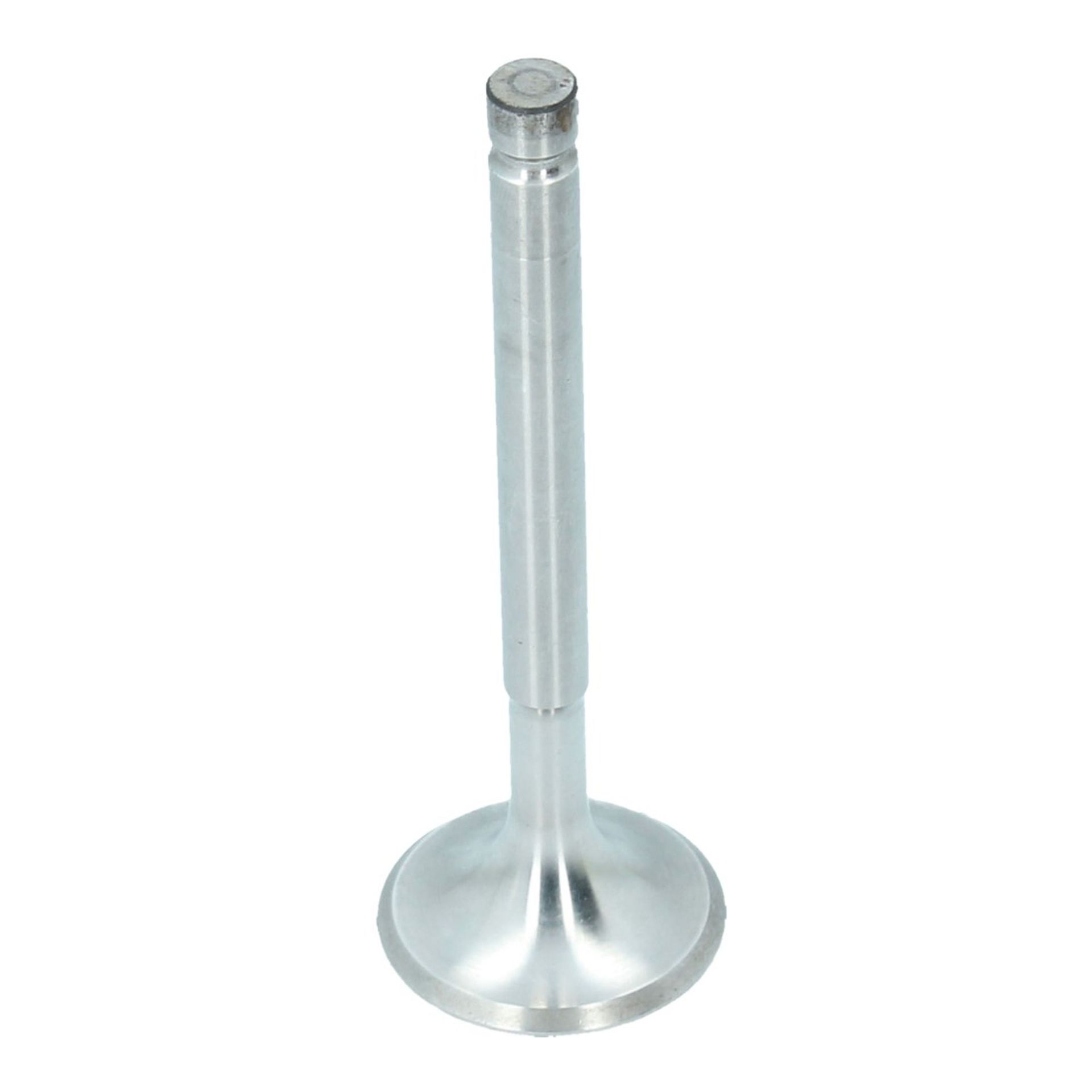 Inlet Valve (32x95mm)