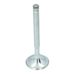 Inlet Valve (32x95mm)