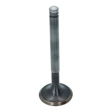 Inlet Valve (30x95mm)