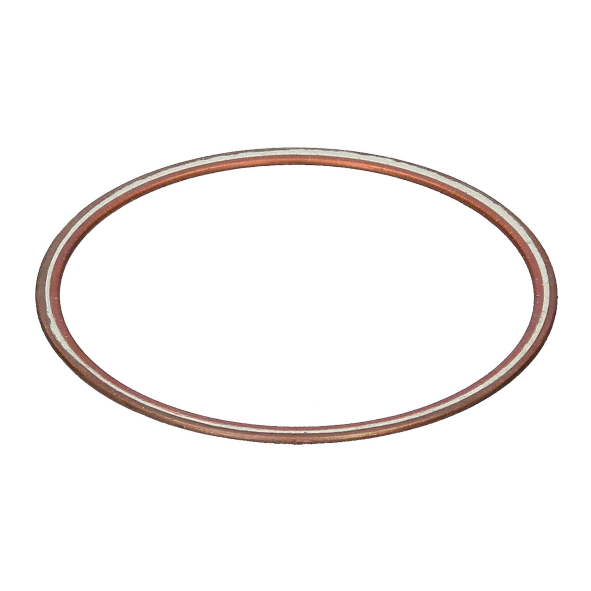 Cylinder Liner Rings 250 GT