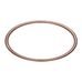 Cylinder Liner Rings 250 GT