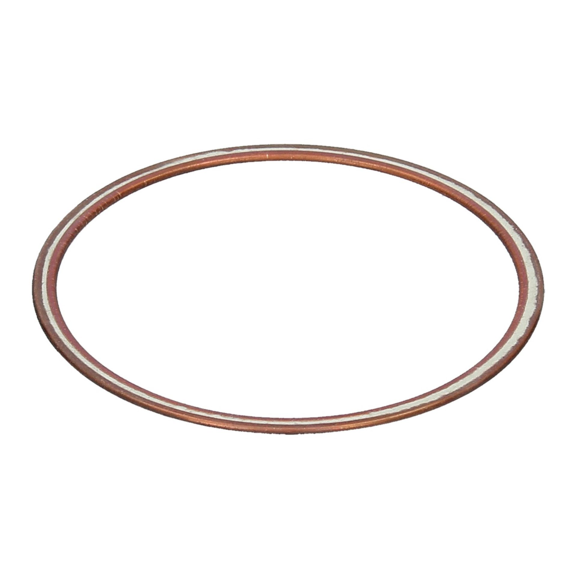 Cylinder Liner Rings 250 GT