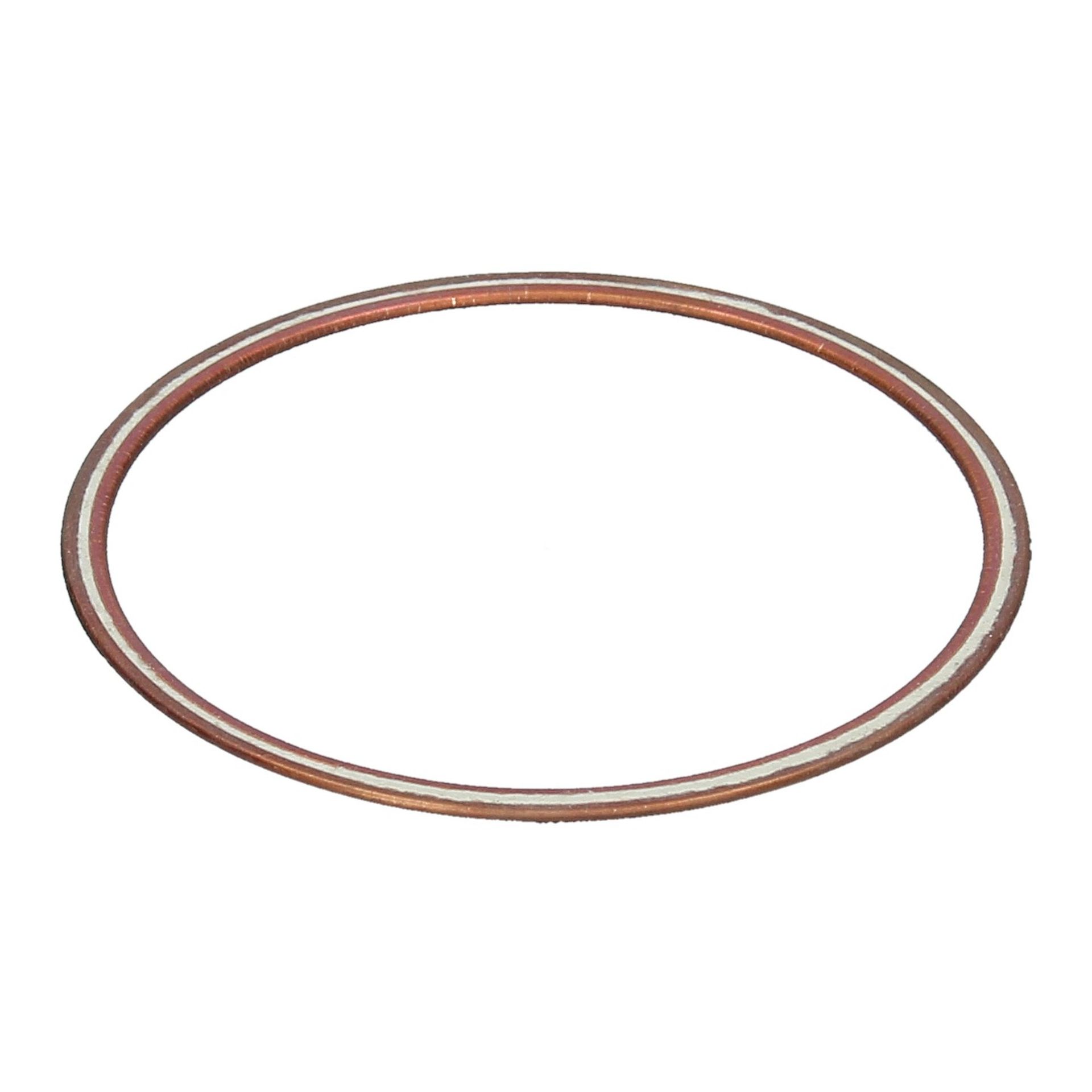 Cylinder Liner Rings 250 GT