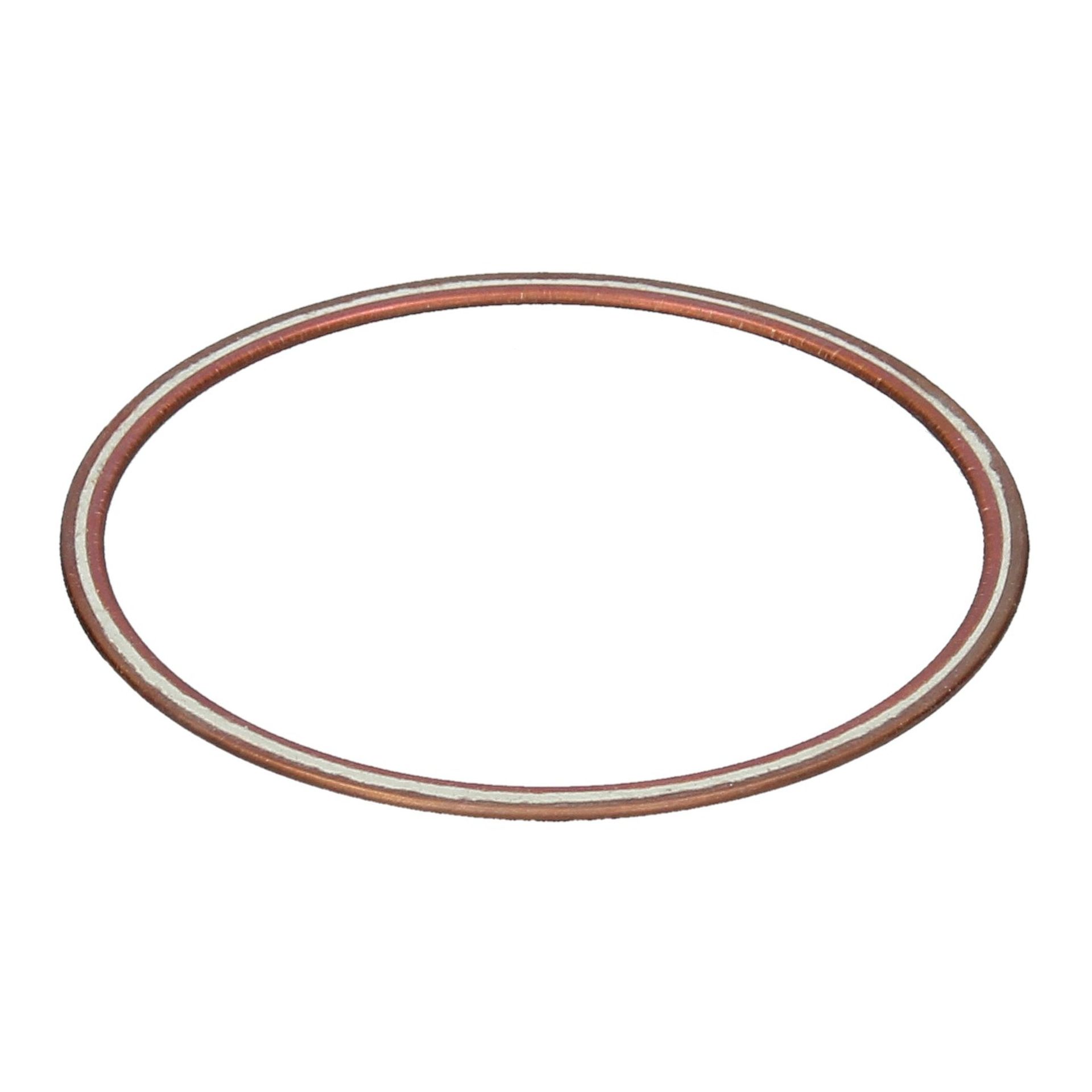 Cylinder Liner Rings 250 GT