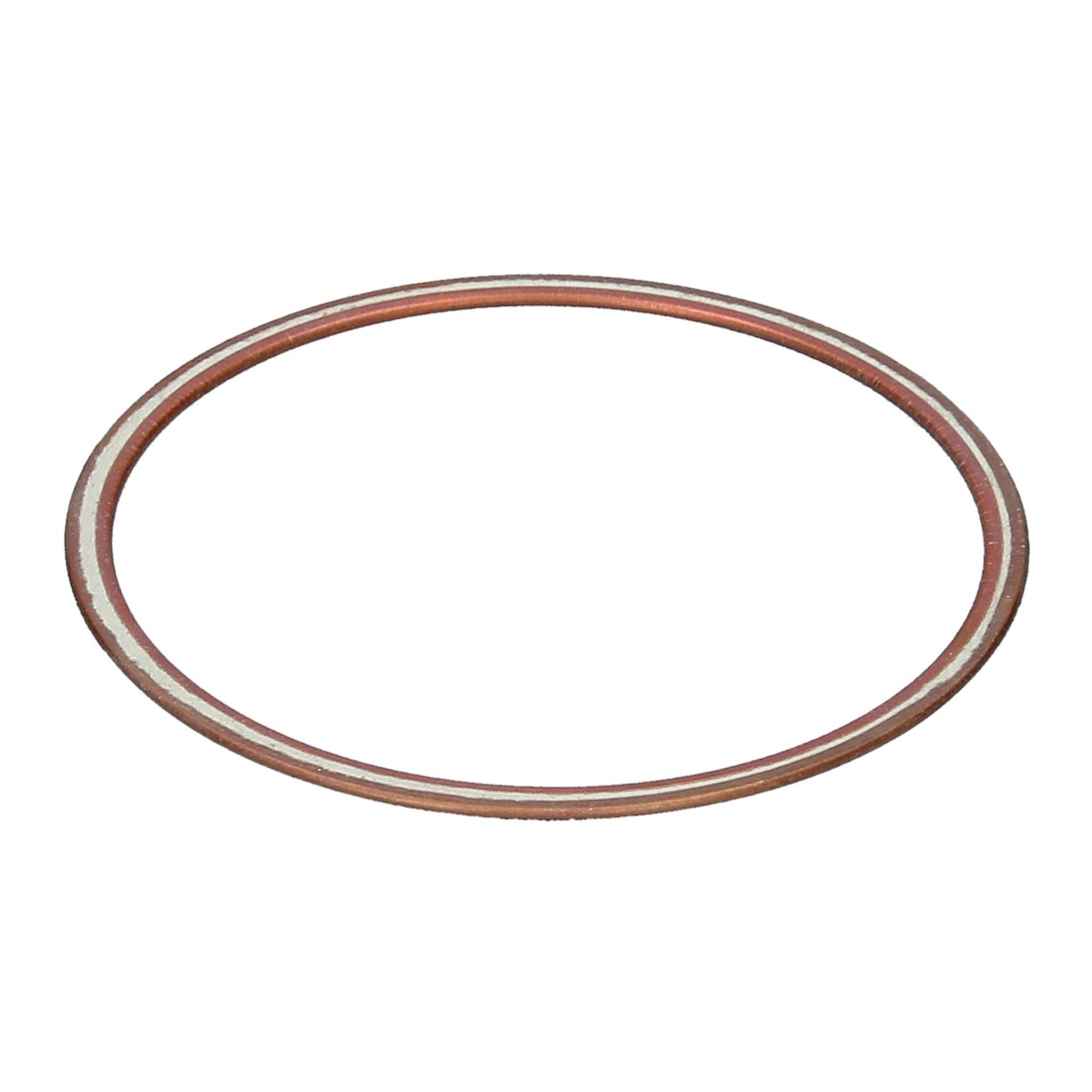 Cylinder Liner Rings 250 GT