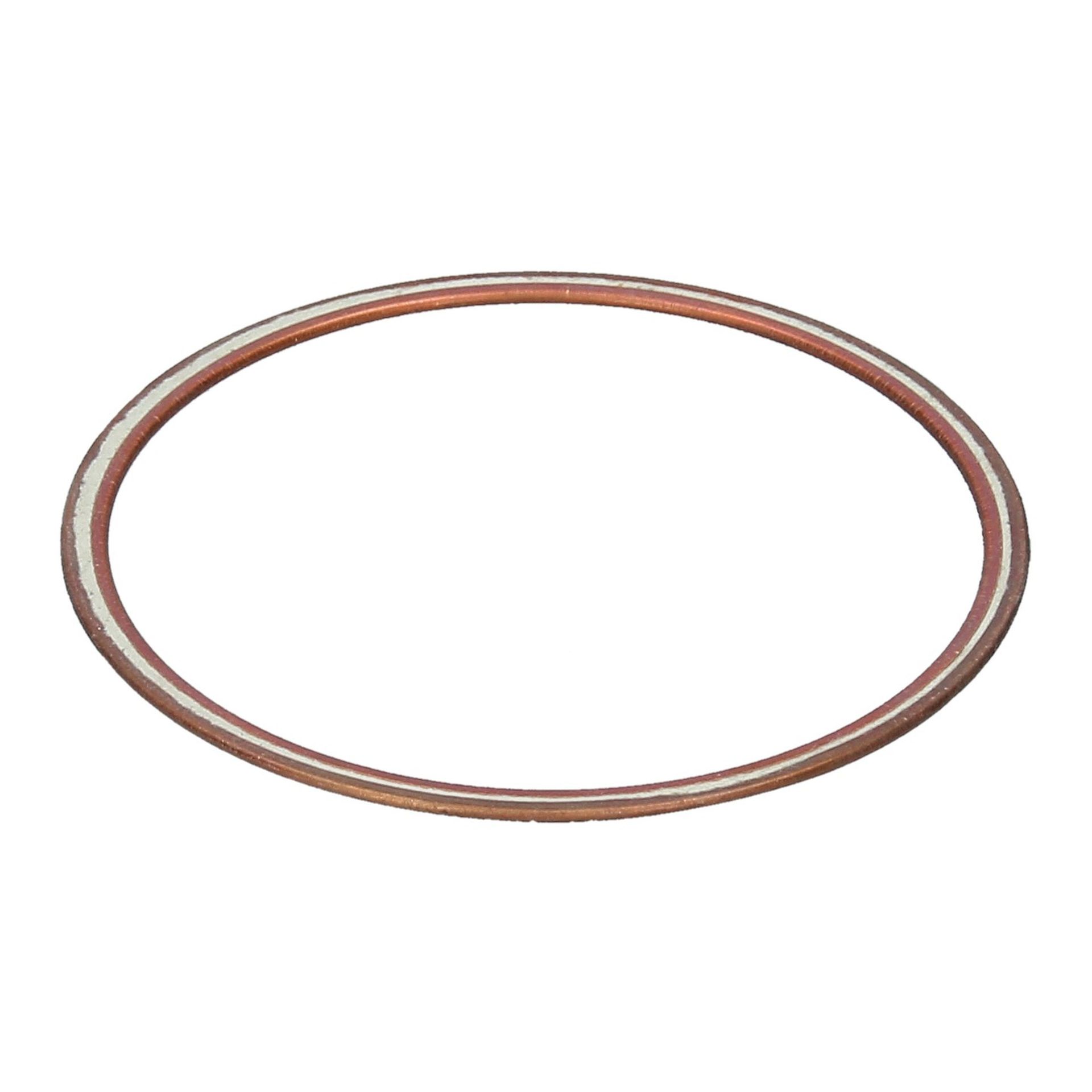 Cylinder Liner Rings 250 GT