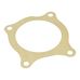 Water Pump Large Gasket