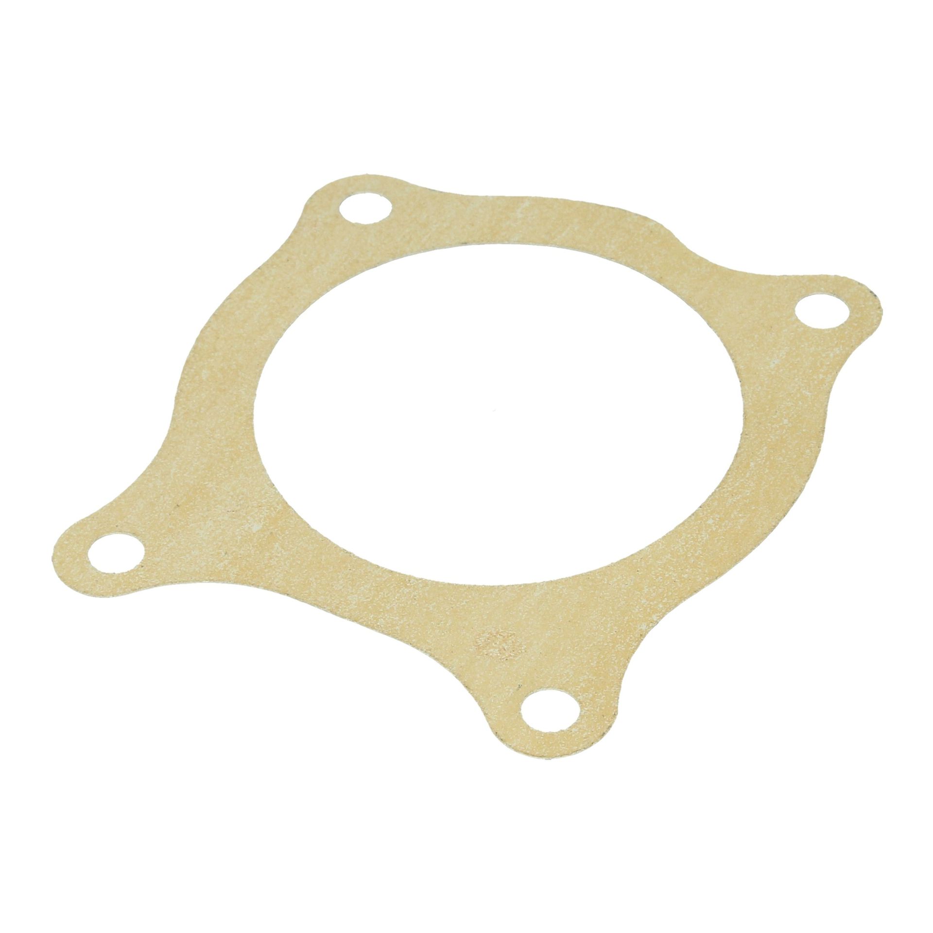 Water Pump Large Gasket