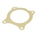 Water Pump Large Gasket