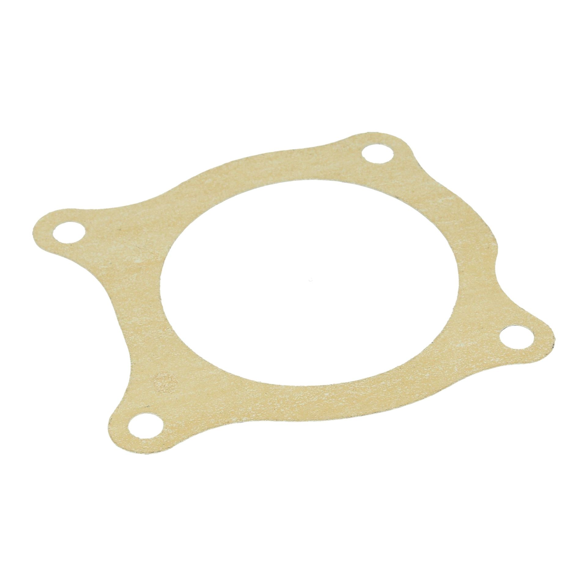 Water Pump Large Gasket