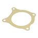 Water Pump Large Gasket