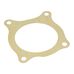 Water Pump Large Gasket