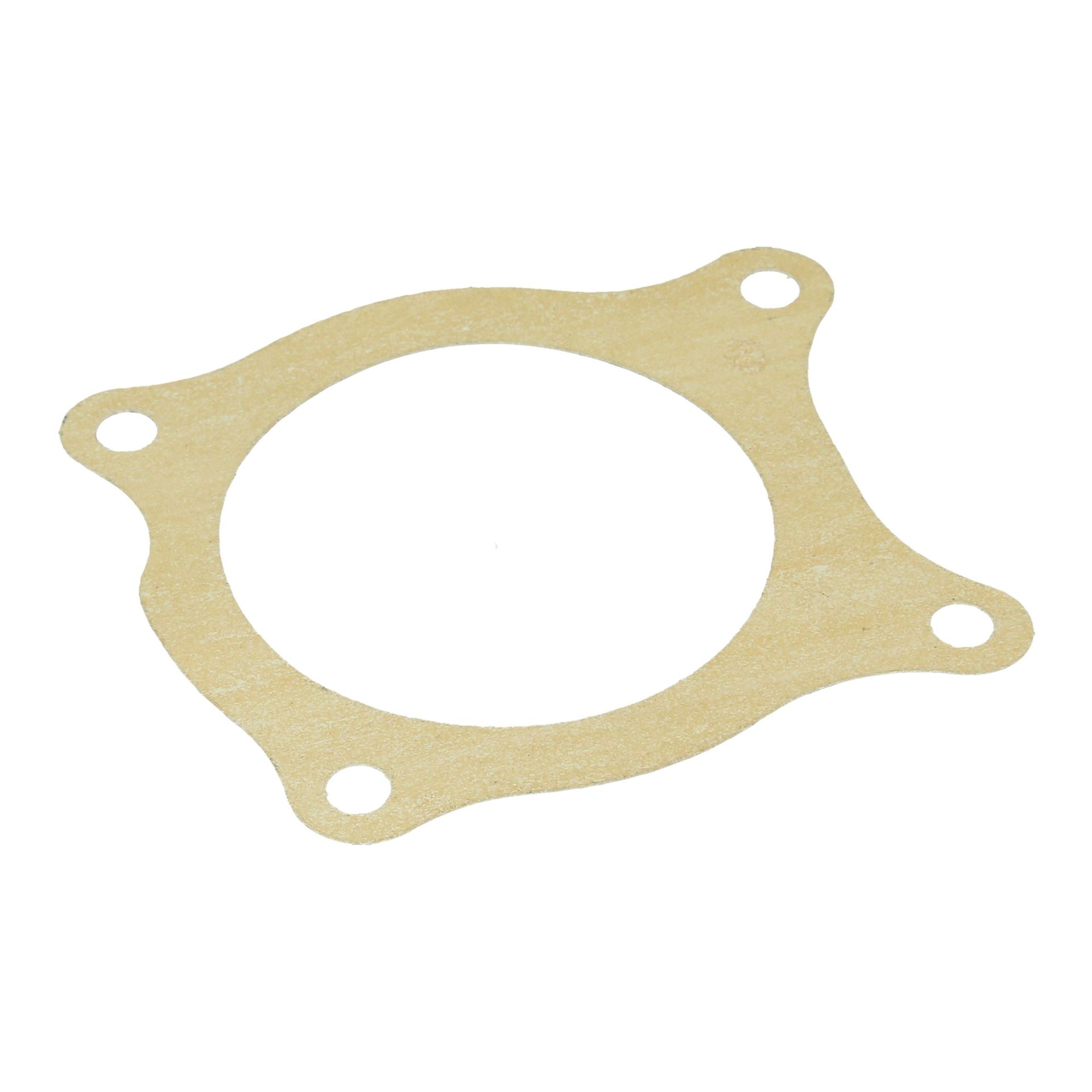 Water Pump Large Gasket