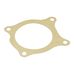 Water Pump Large Gasket