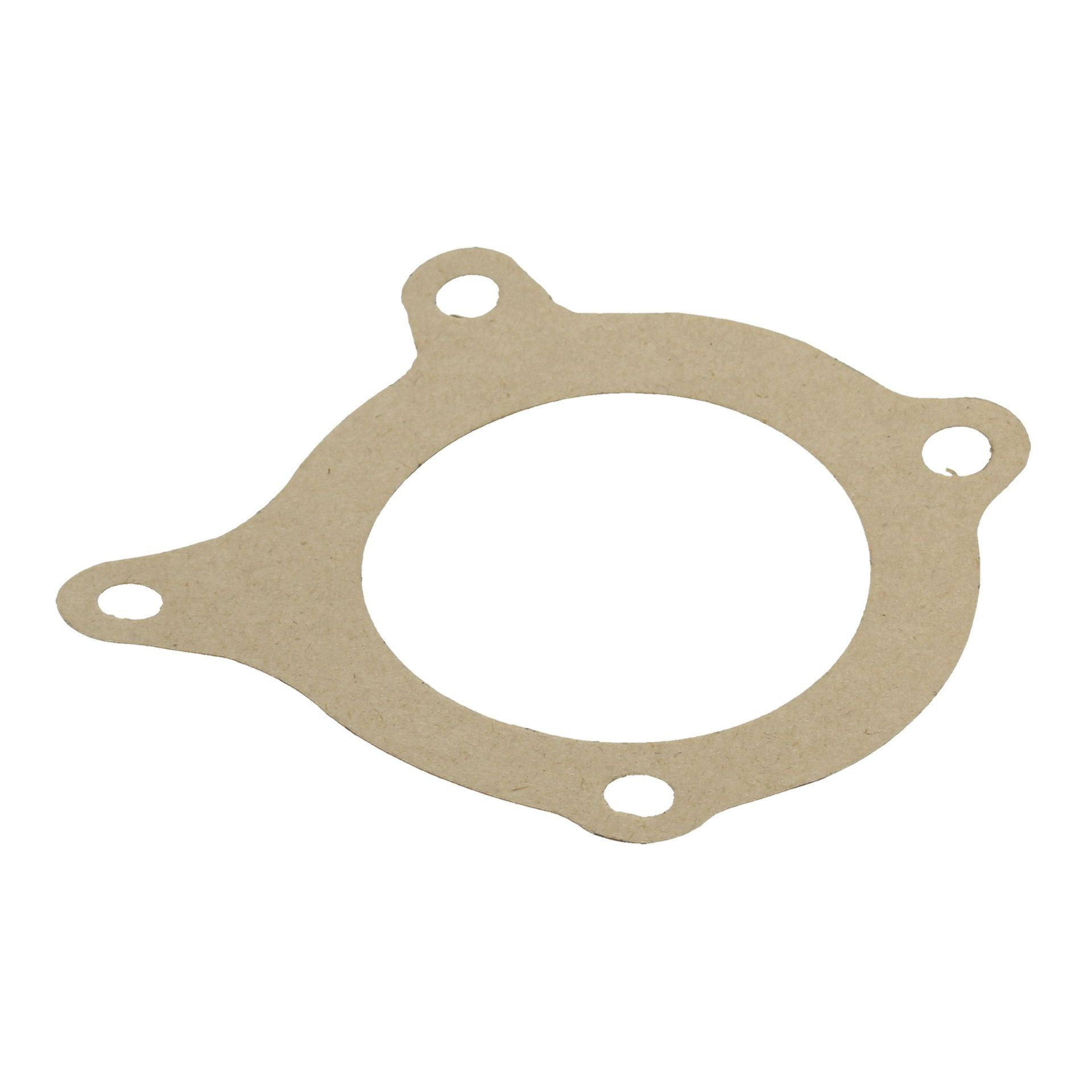 Water Pump Small Gasket 250 Early